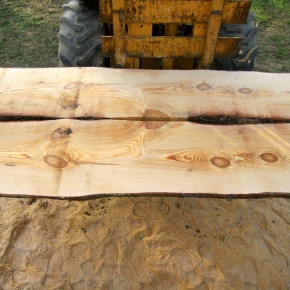 Making lumber